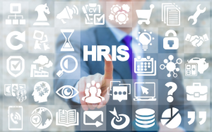 Small Business Hris Systems